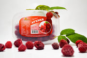AVENES (saldētas)