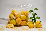 BIO CIDONIJAS (saldētas)