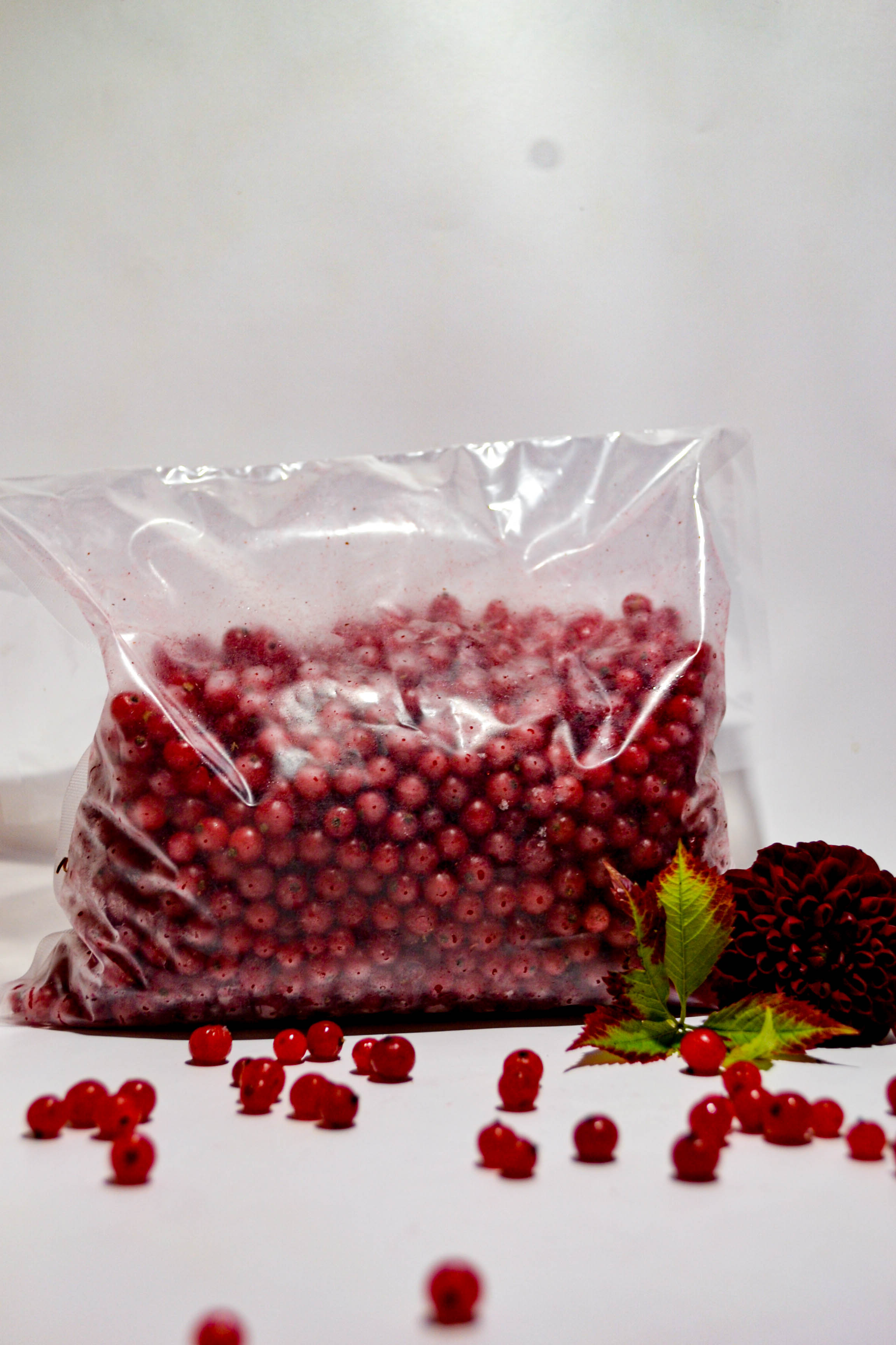 JĀŅOGAS (saldētas)
